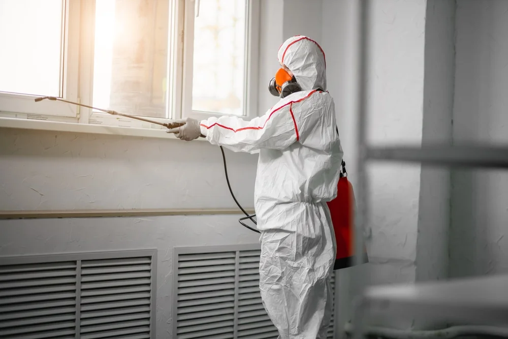 Professional mold remediation services in Stevensburg, VA